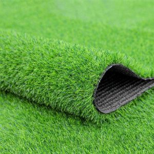 Green Carpet Mat